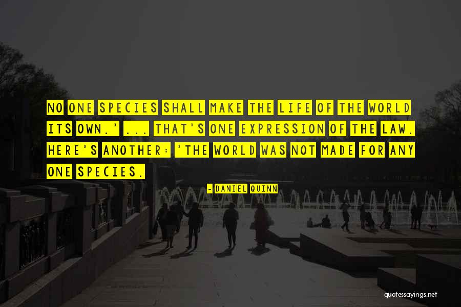 Palo Alto Book Quotes By Daniel Quinn Palo Alto Book Quotes By Daniel Quinn