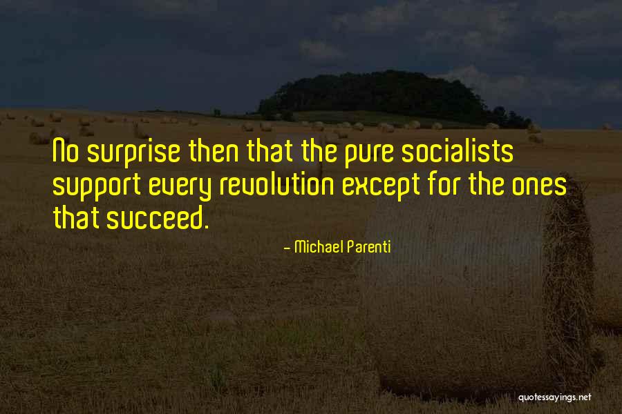 Palombaggia In Corsica Quotes By Michael Parenti Palombaggia In Corsica Quotes By Michael Parenti