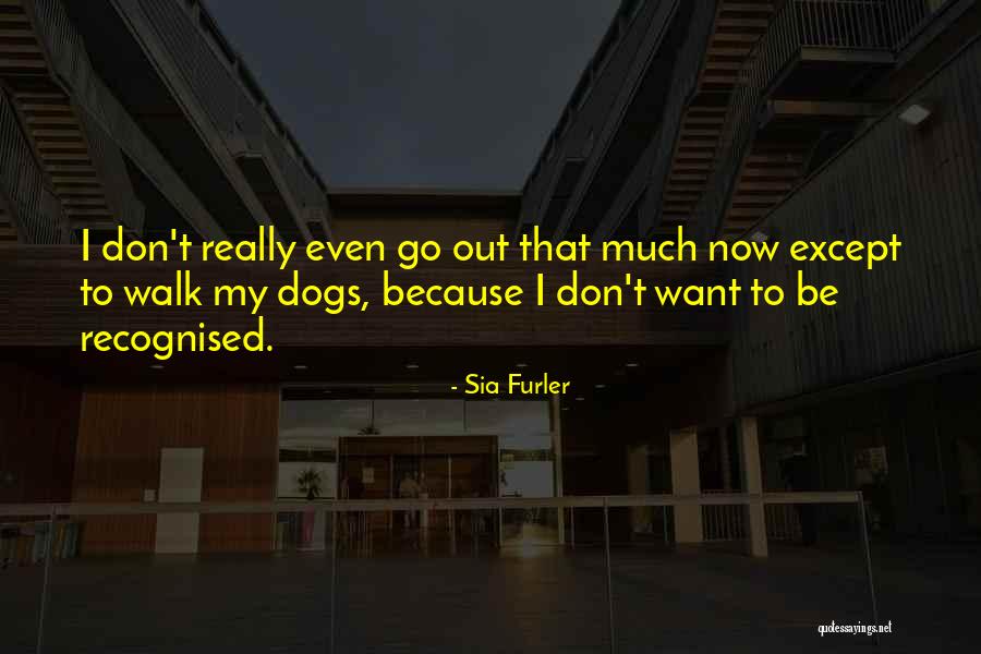 Palombaro Lungo Quotes By Sia Furler Palombaro Lungo Quotes By Sia Furler
