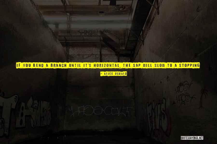 Palpan De Baranda Quotes By Alice Oswald Palpan De Baranda Quotes By Alice Oswald