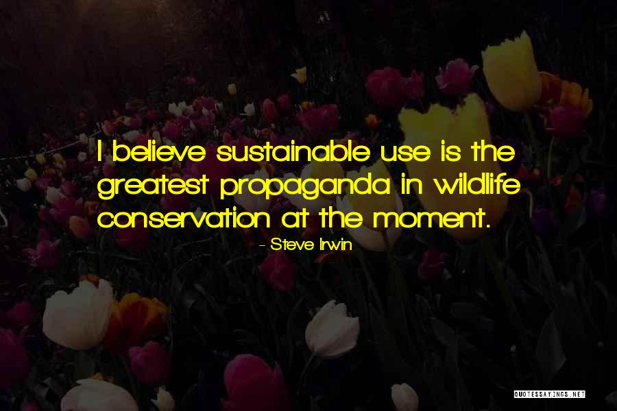 Palter Law Quotes By Steve Irwin Palter Law Quotes By Steve Irwin