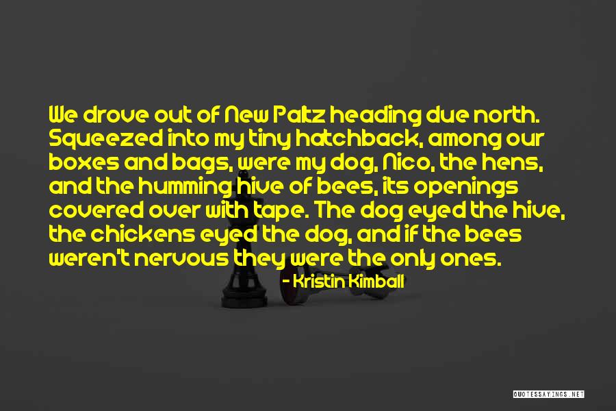 Paltz Quotes By Kristin Kimball Paltz Quotes By Kristin Kimball