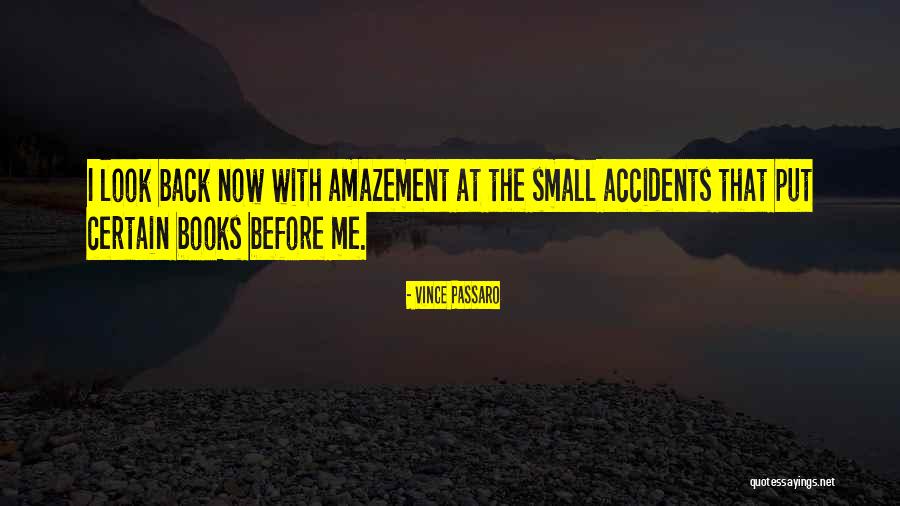 Paludal Quotes By Vince Passaro Paludal Quotes By Vince Passaro
