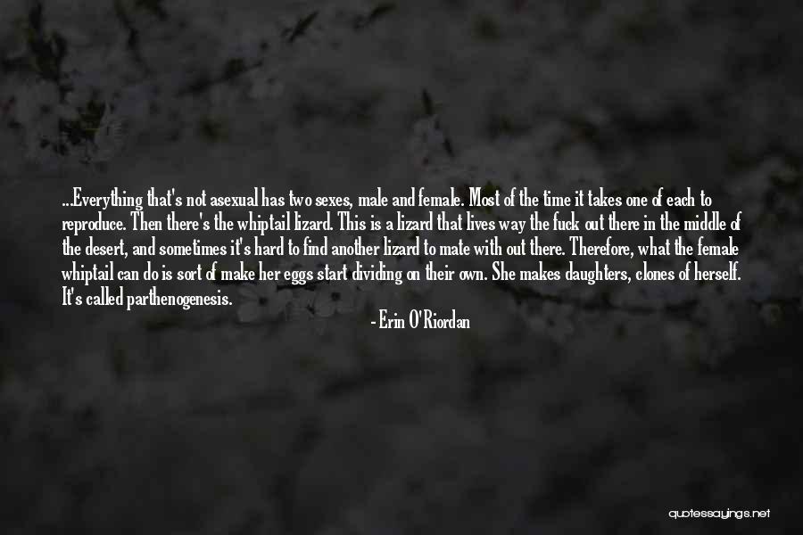 Palumbina Quotes By Erin O'Riordan Palumbina Quotes By Erin O'Riordan