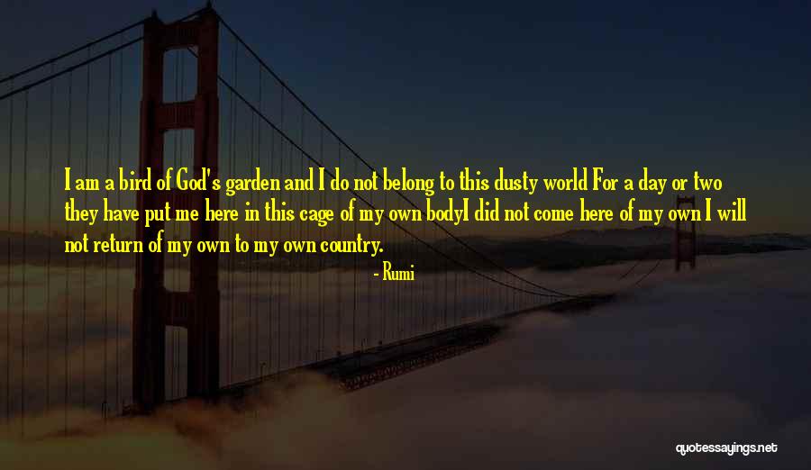Palumbina Quotes By Rumi Palumbina Quotes By Rumi