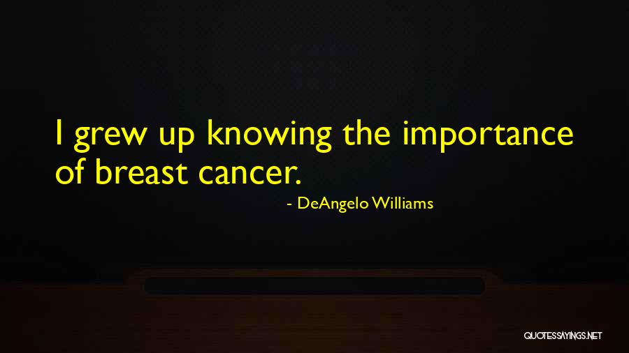 Palydovas Google Quotes By DeAngelo Williams Palydovas Google Quotes By DeAngelo Williams