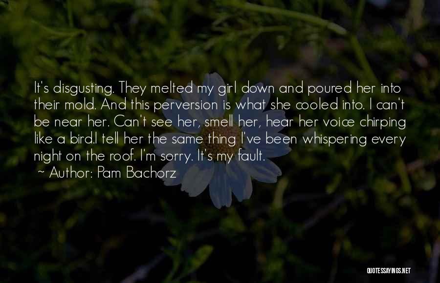 Pam Bachorz Quotes 502921