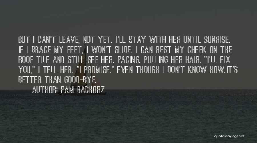 Pam Bachorz Quotes 710875