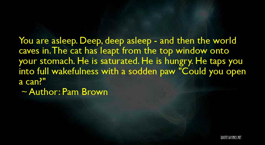 Pam Brown Quotes 788560