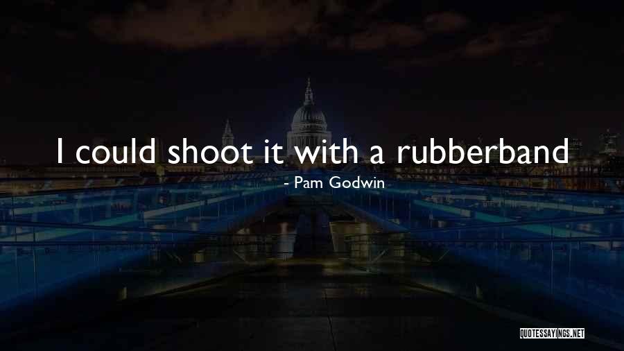 Pam Godwin Quotes 1159590