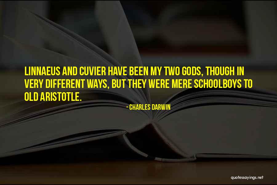 Pam Grier Coffy Quotes By Charles Darwin Pam Grier Coffy Quotes By Charles Darwin