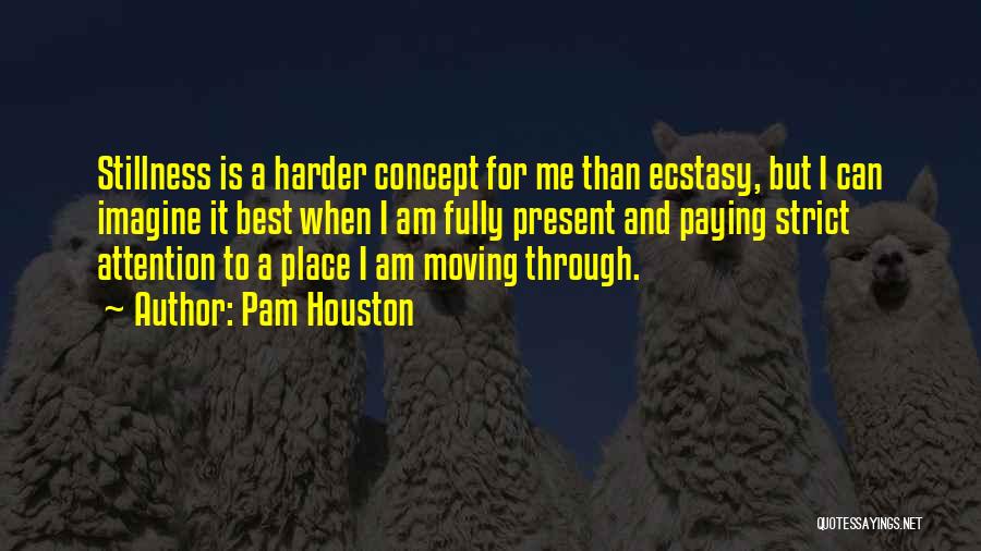 Pam Houston Quotes 1560381