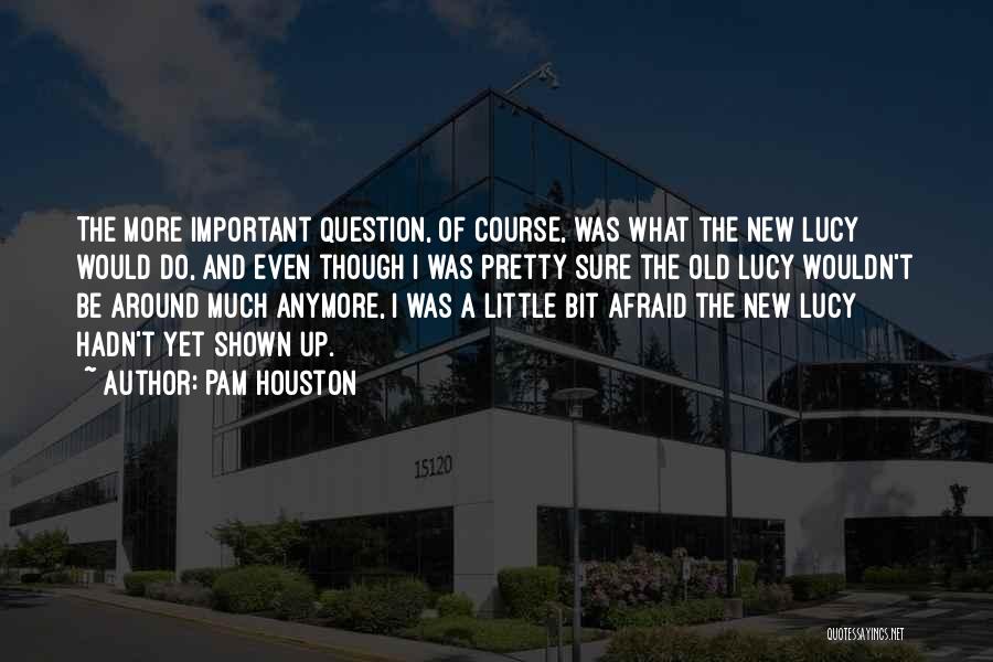 Pam Houston Quotes 921768