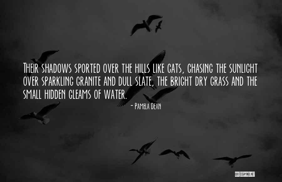 Pamela Dean Quotes 1248128 Pamela Dean Quotes 1248128