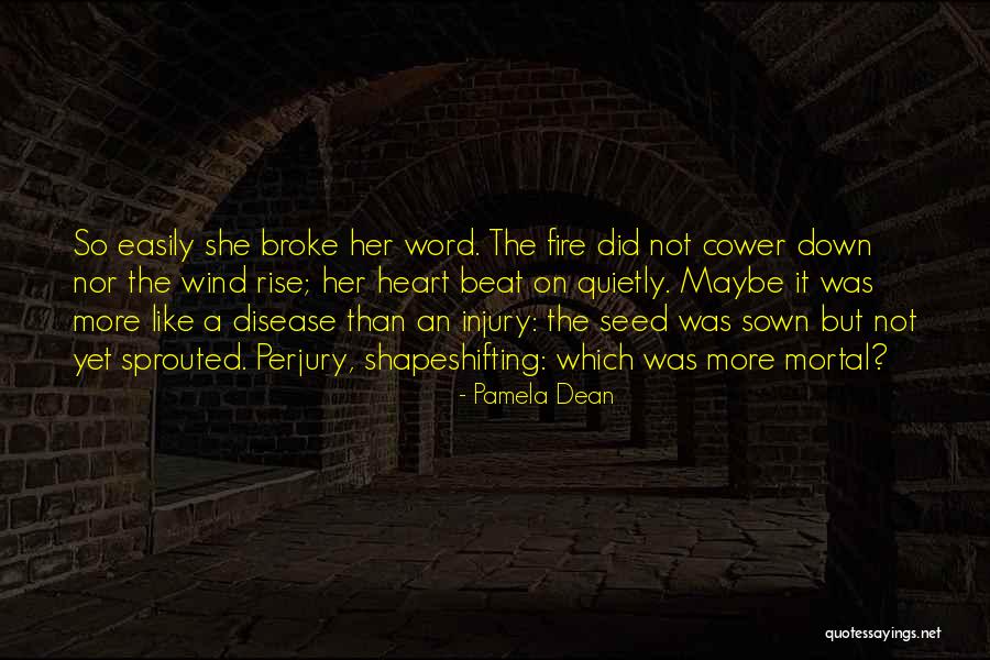Pamela Dean Quotes 505693 Pamela Dean Quotes 505693