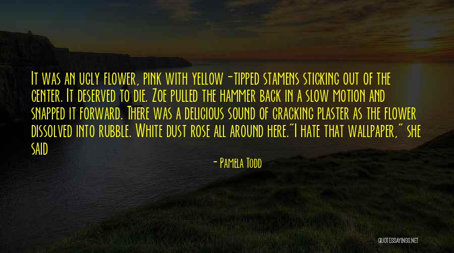 Pamela Todd Quotes 1311196 Pamela Todd Quotes 1311196