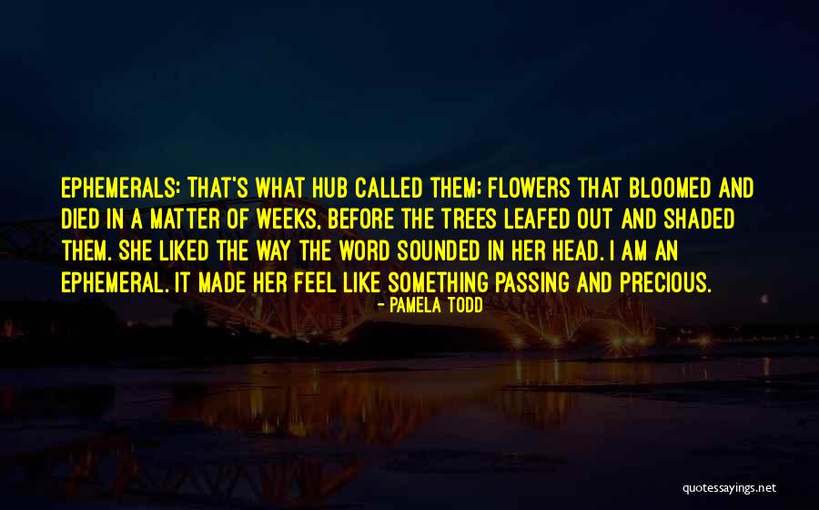 Pamela Todd Quotes 2202690