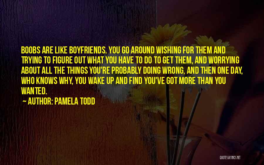 Pamela Todd Quotes 2263508