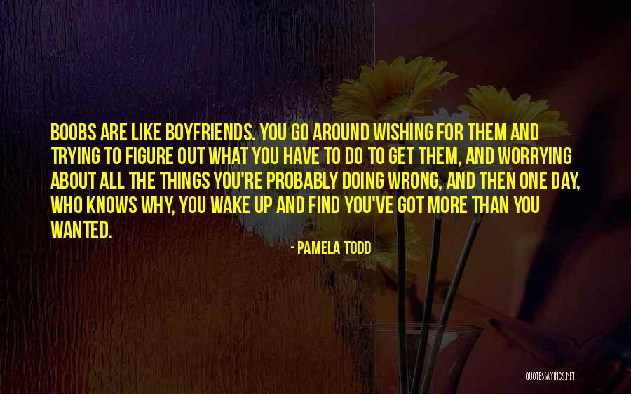 Pamela Todd Quotes 2263508