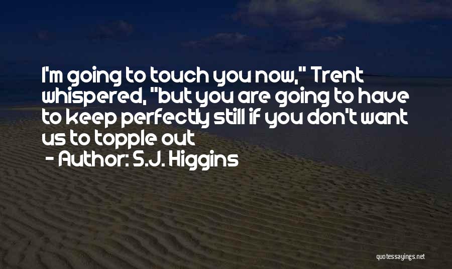 Pamjaki Quotes By S.J. Higgins