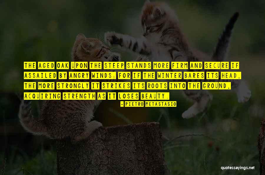Pampady Thirumeni Quotes By Pietro Metastasio Pampady Thirumeni Quotes By Pietro Metastasio