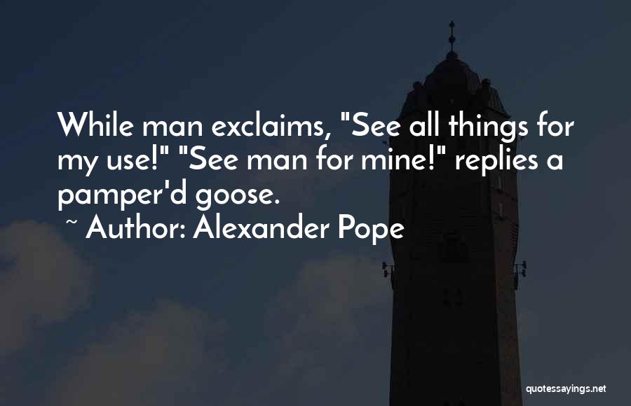 Pamper Her Quotes By Alexander Pope