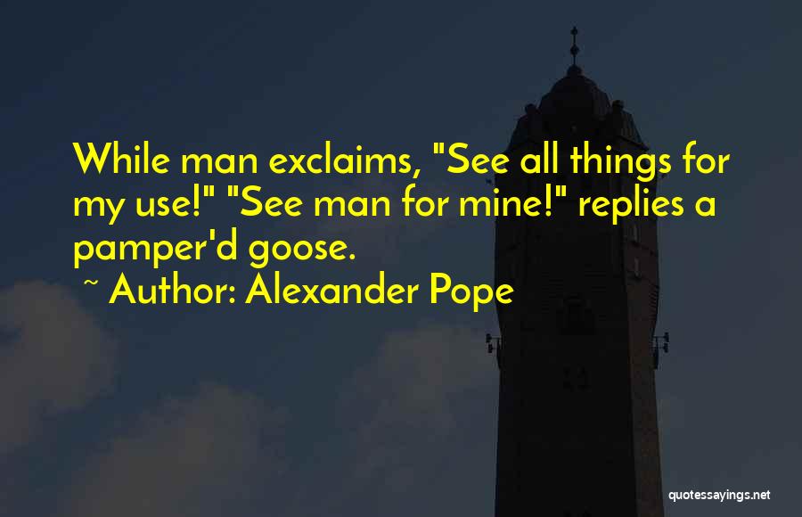 Pamper Ourselves Quotes By Alexander Pope