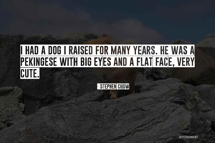 Pamphlets And Brochures Quotes By Stephen Chow Pamphlets And Brochures Quotes By Stephen Chow