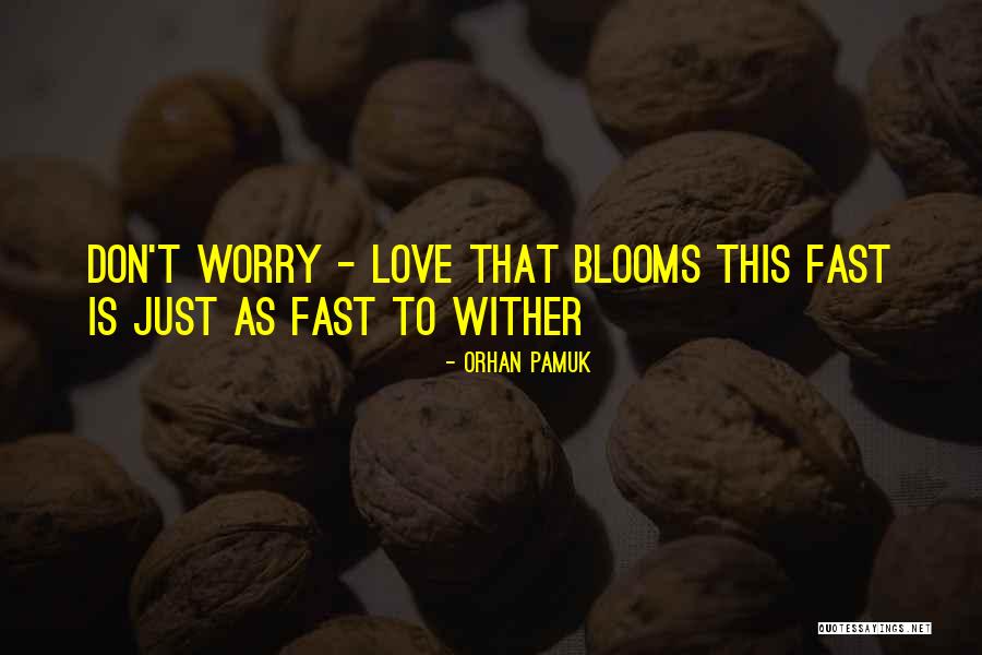 Pamuk Love Quotes By Orhan Pamuk Pamuk Love Quotes By Orhan Pamuk