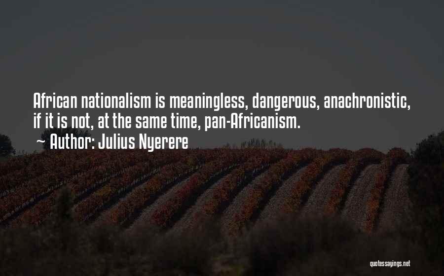 Pan Africanism Quotes By Julius Nyerere