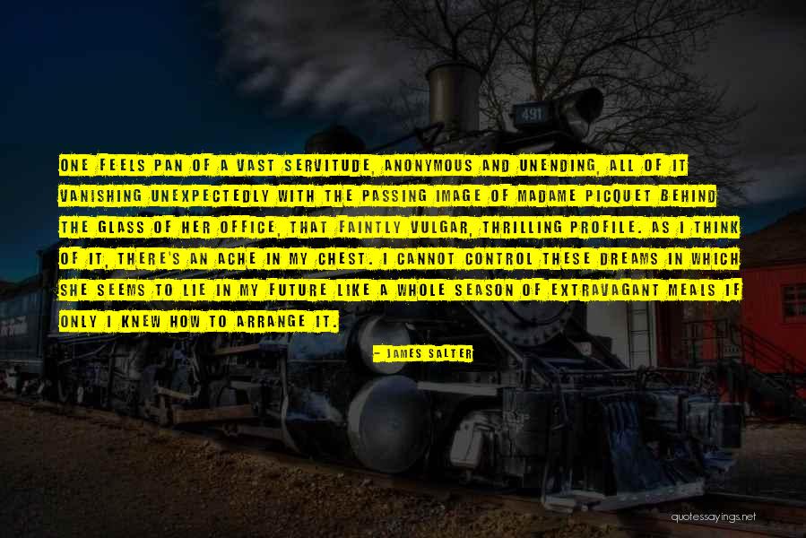Pan-slavism Quotes By James Salter Pan-slavism Quotes By James Salter