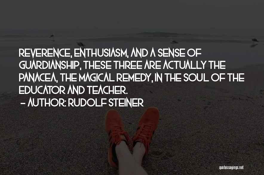 Panacea Quotes By Rudolf Steiner