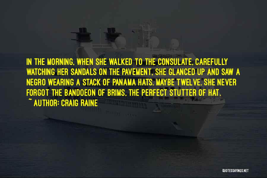 Panama Hat Quotes By Craig Raine