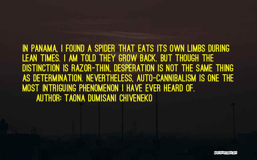 Panama Quotes By Taona Dumisani Chiveneko