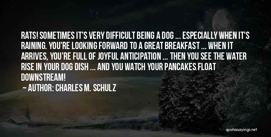 Pancakes Quotes By Charles M. Schulz