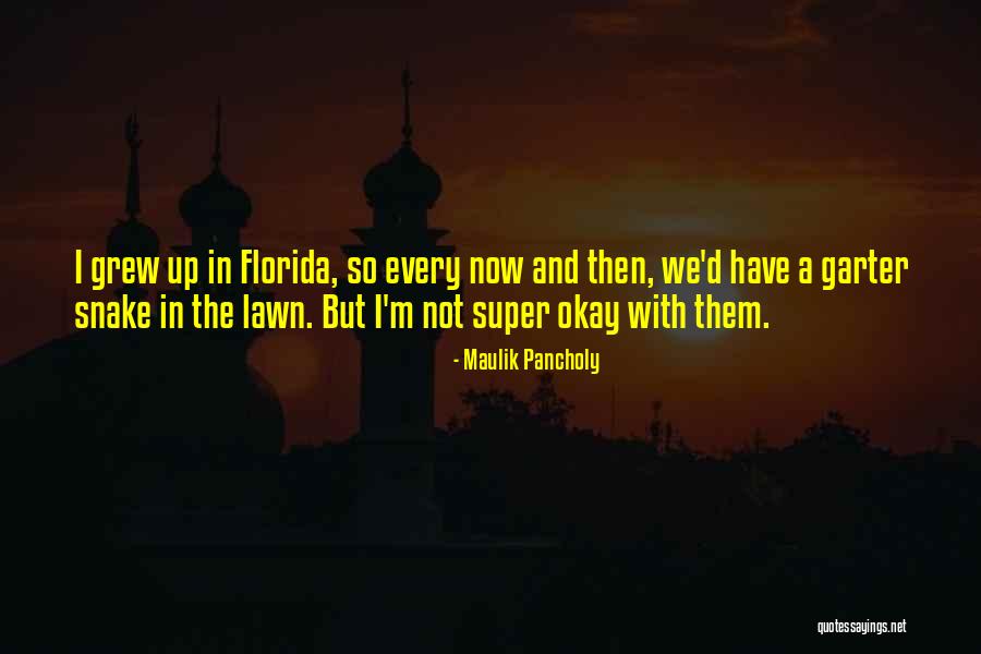 Pancholy Maulik Quotes By Maulik Pancholy Pancholy Maulik Quotes By Maulik Pancholy