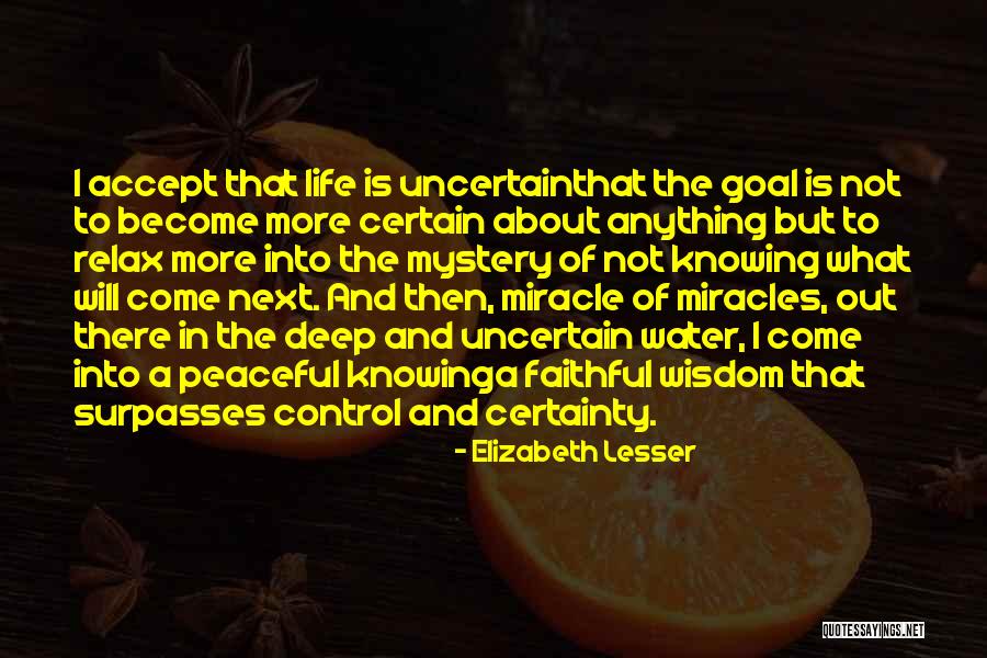Panchut Quotes By Elizabeth Lesser Panchut Quotes By Elizabeth Lesser