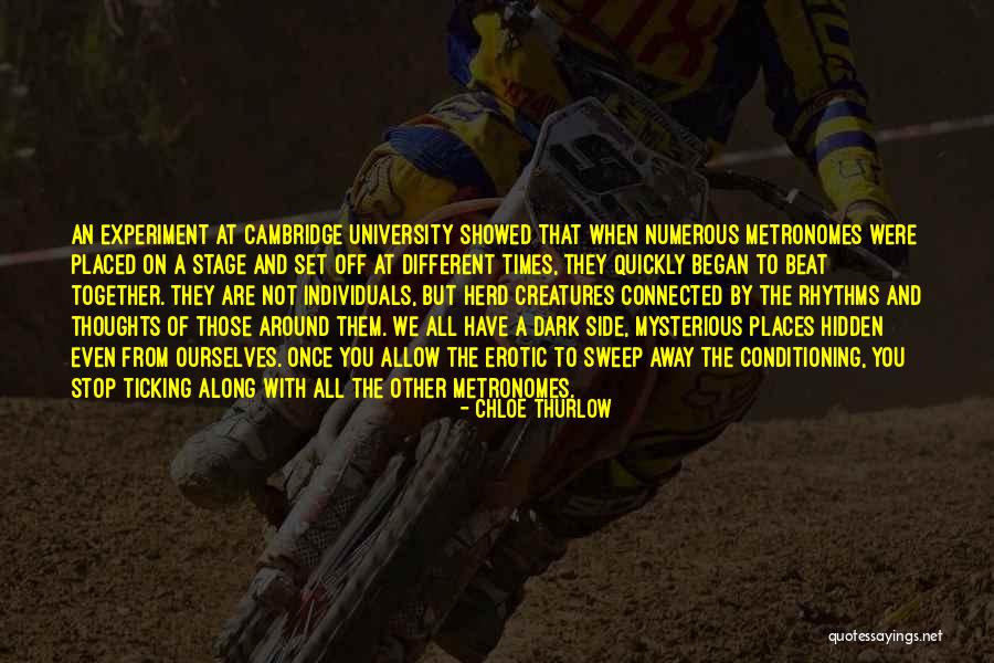 Pancrazio Mazzocchi Quotes By Chloe Thurlow Pancrazio Mazzocchi Quotes By Chloe Thurlow