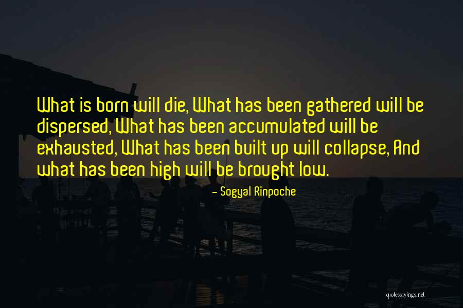 Pandai Besi Quotes By Sogyal Rinpoche Pandai Besi Quotes By Sogyal Rinpoche