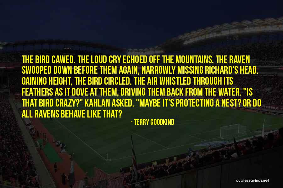 Pandalai Coatings Quotes By Terry Goodkind Pandalai Coatings Quotes By Terry Goodkind