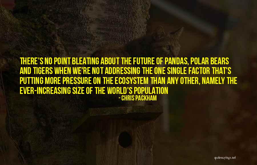 Pandas With Quotes By Chris Packham Pandas With Quotes By Chris Packham