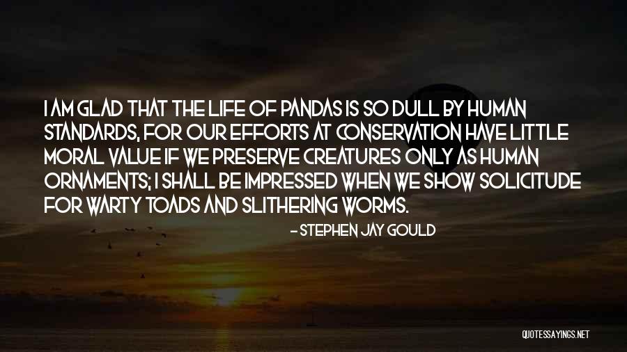 Pandas With Quotes By Stephen Jay Gould Pandas With Quotes By Stephen Jay Gould