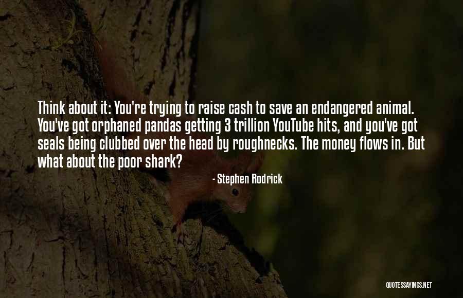 Pandas With Quotes By Stephen Rodrick Pandas With Quotes By Stephen Rodrick
