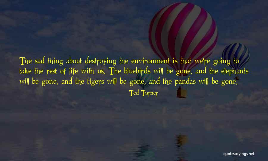 Pandas With Quotes By Ted Turner Pandas With Quotes By Ted Turner