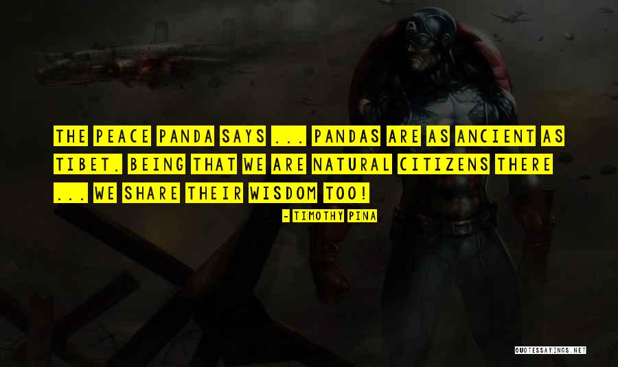 Pandas With Quotes By Timothy Pina Pandas With Quotes By Timothy Pina