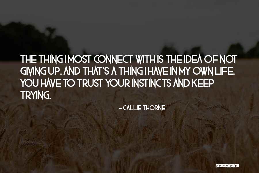 Pandion Haliaetus Quotes By Callie Thorne Pandion Haliaetus Quotes By Callie Thorne