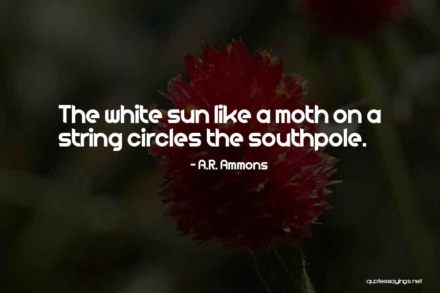 Panditjiusa Quotes By A.R. Ammons Panditjiusa Quotes By A.R. Ammons