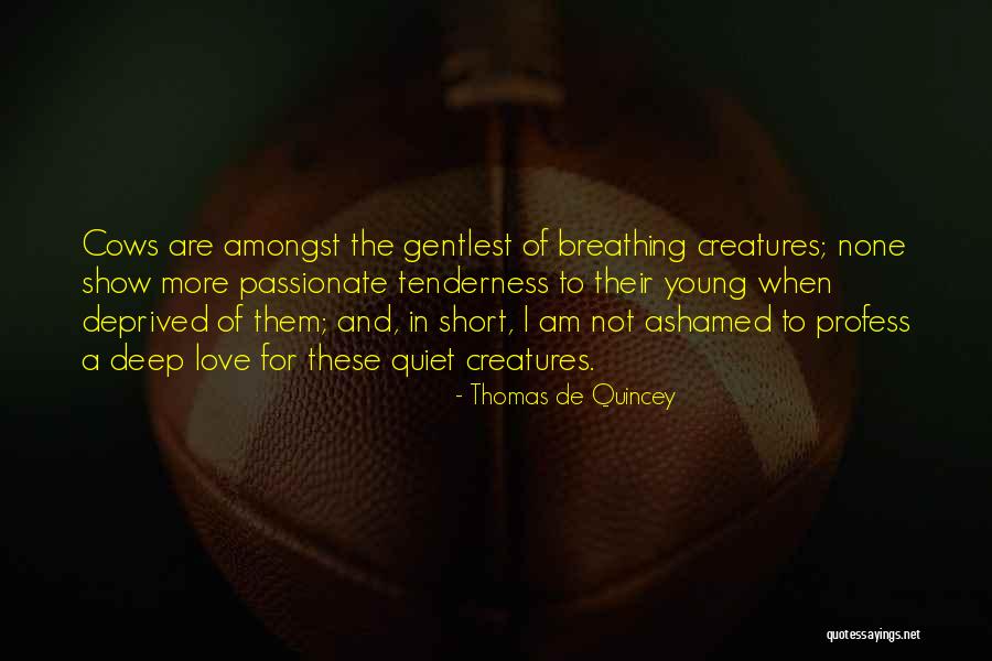 Pandolfinos Quotes By Thomas De Quincey Pandolfinos Quotes By Thomas De Quincey