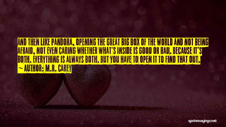 Pandora Box Quotes By M.R. Carey