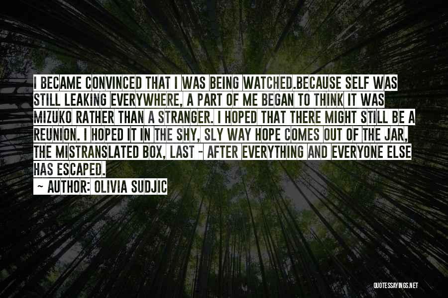 Pandora's Box Quotes By Olivia Sudjic